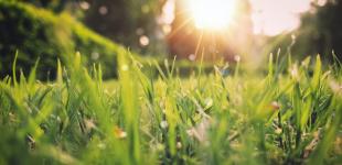 Погода в Украине: вторник, 25 мая, будет теплым и местами дождливым