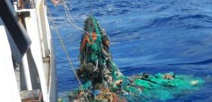 Пятно мусора в Тихом океане в три раза превысило площадь Франции 