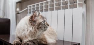 Киевлянам обещают горячие батареи, когда похолодает