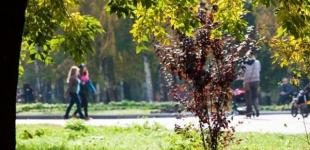 Обнародованы условия для посещения парков 