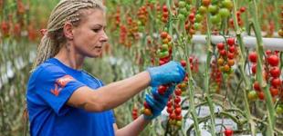 Украина и трагедия трудовой миграции, или о чем пытаются не говорить (9 тезисов)