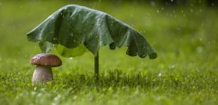 Жара пойдет на спад, будут грозы и шквалы: синоптики дали прогноз на август в Украине