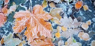 Погода на вихідні: в Україні тепло й сонячно