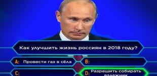 Путин облегчил жизнь россиянам - разрешил собирать валежник