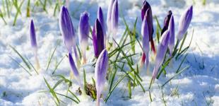 Переход от зимы к весне: синоптик сообщила, когда ждать потепления