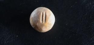 В Израиле нашли древнюю гирю для обвеса покупателей