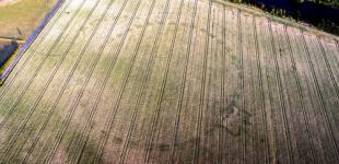 В Ирландии нашли еще один Стоунхендж