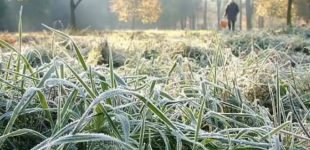 В Украину идут похолодание и заморозки: вторгнется арктический ветер