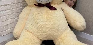 Сердце из плюша: Почему каждая женщина оценит подарок в виде мягкой игрушки