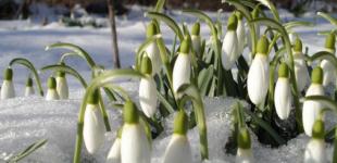 День весеннего равноденствия: традиции и приметы 