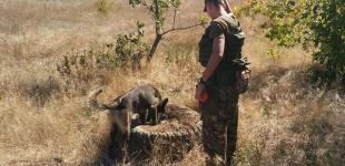 В штабе ООС рассказали о прошедших сутках