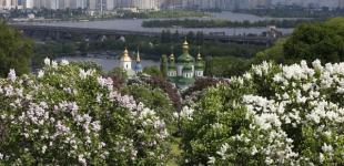 Погода на выходные в Украине: жара спадет, местами дождь 