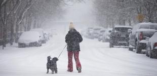 Украинцам обещают продолжение снегопадов