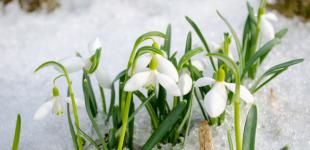 В Украине потеплеет, 8 марта до +9 