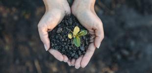 Фермерам упростят доступ к земле: Рада приняла за основу законопроект 