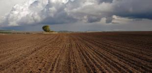 Земельная реформа: кому хорошо от «200 гектар в одни руки»?