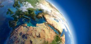 Подсчитана масса всего живого на Земле 