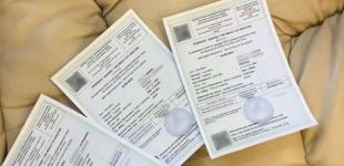 Виготовляли підроблені ПЛР-тести та ковід-сертифікати