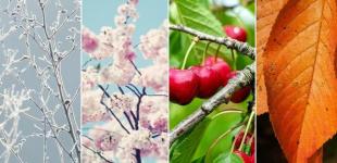 В Украине изменилась продолжительность сезонов