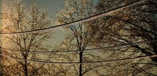 До -15 градусів. Синоптик прогнозує сильні морози в Україні