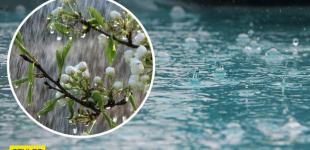 В Україну йдуть дощі і сильний вітер: де розгуляється негода