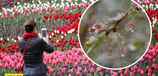 Контраст від -3 до +23 градусів: синоптики попередили про погодні сюрпризи