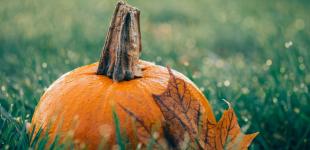 Когда ждать похолодания в Украине