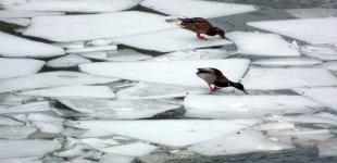 В Украину вернутся морозы и снег: прогноз погоды на первые весенние выходные и 8 Марта