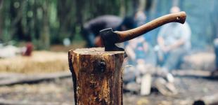 В Україні – ажіотаж на ринку дров: стали відомі ціни та про відкриття інтернет-магазину