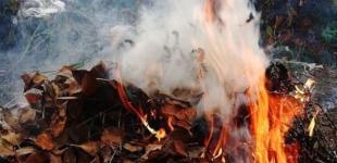 В Виннице начали штрафовать за сжигание травы и листья