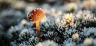 В Украину движется холод с 