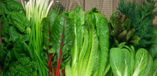 Профессор назвала ТОП-7 самой полезной зелени и овощей