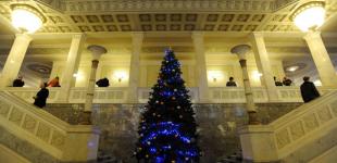 В Раде планируют установить старые елки