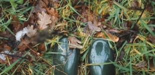 Неділя буде дощовою: прогноз погоди в Україні на 11 вересня