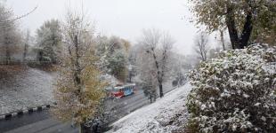 Чи варто чекати лютих холодів: кліматолог розповіла, якою буде зима в Україні