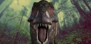 Вчені розвінчали міфи про тиранозавра: що показало нове дослідження