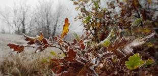 Дощі у листопаді та сонце у грудні: прогноз погоди у Києві до початку зими