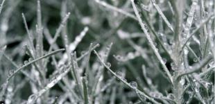 Ледяной дождь и мокрый снег. Синоптик рассказала, в каких областях Украины ухудшится погода