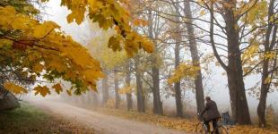 После летнего тепла резко похолодает: синоптик рассказала о погоде в Украине в ближайшие дни