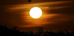 Сонце знищить Меркурій, Венеру та Землю: коли це станеться