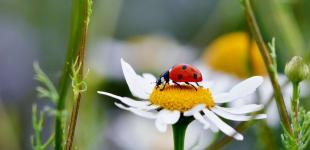 Успейте насладиться настоящей летней жарой: синоптик рассказала, когда в Украине похолодает