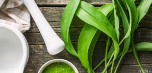 Салат з черемшею: три рецепти простих, але дуже смачних страв