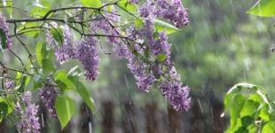 В Украине резко изменится погода на этой неделе: синоптики назвали дату