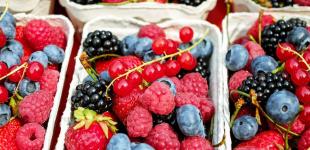 7 продуктів для здоров’я мозку: що їсти, щоб покращити пам’ять і концентрацію