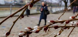 Синоптики назвали дату весеннего потепления в Украине
