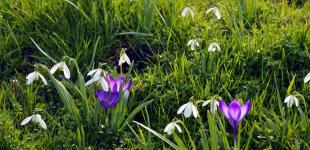 Погода кардинально зміниться: до чого готуватися українцям 23 березня