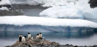 Потепління призведе до катастрофічних наслідків: що чекає на Антарктиду до 2100 року