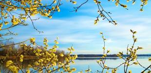 Подождем совсем немного: когда в Украину вернется тепло