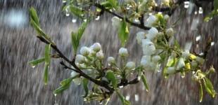 Непогода до конца апреля и затяжные дожди в мае: синоптики дали прогноз на 30 дней