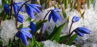 Украину накроет холодный циклон, а весна начнется только в апреле